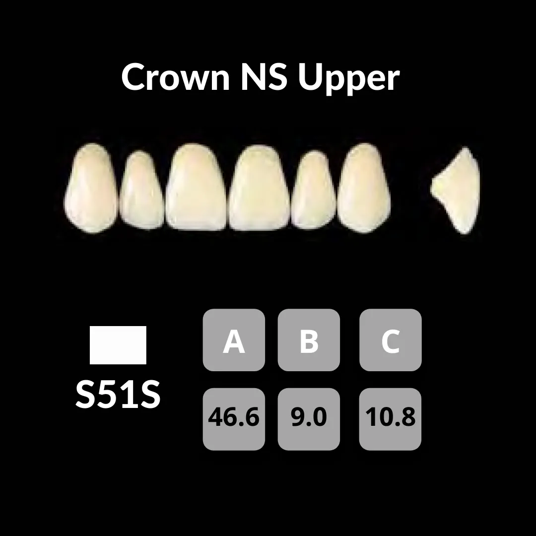 Yamahachi - Crown NS Teeth Shade C1