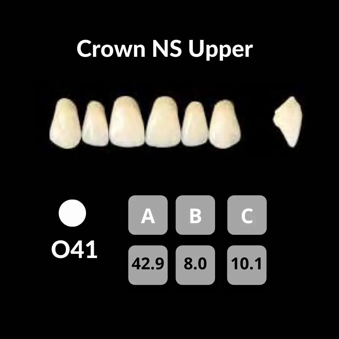 Yamahachi - Crown NS Teeth Shade C1