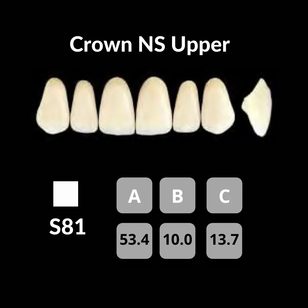 Yamahachi - Crown NS Teeth Shade C1