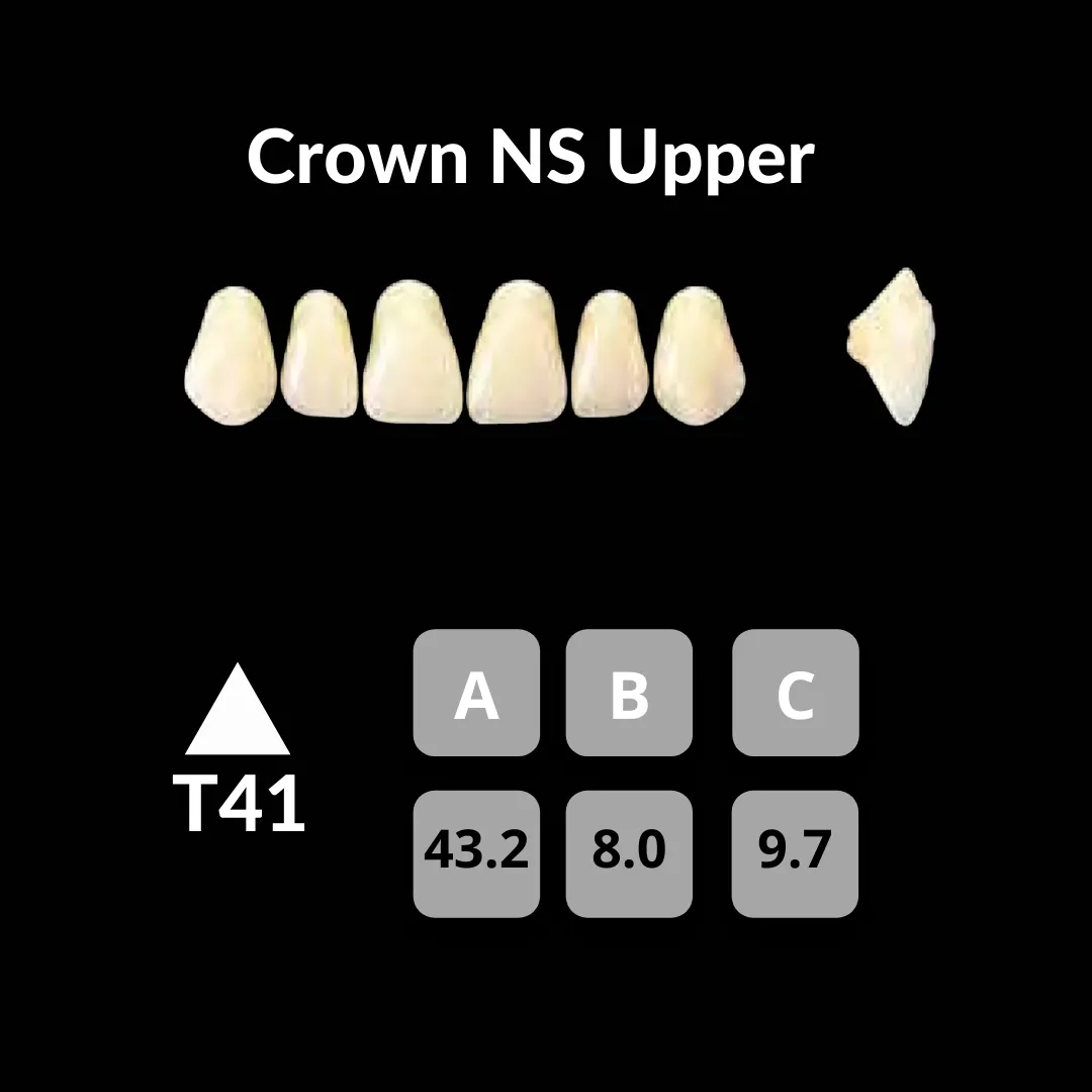 Yamahachi - Crown NS Teeth Shade C1