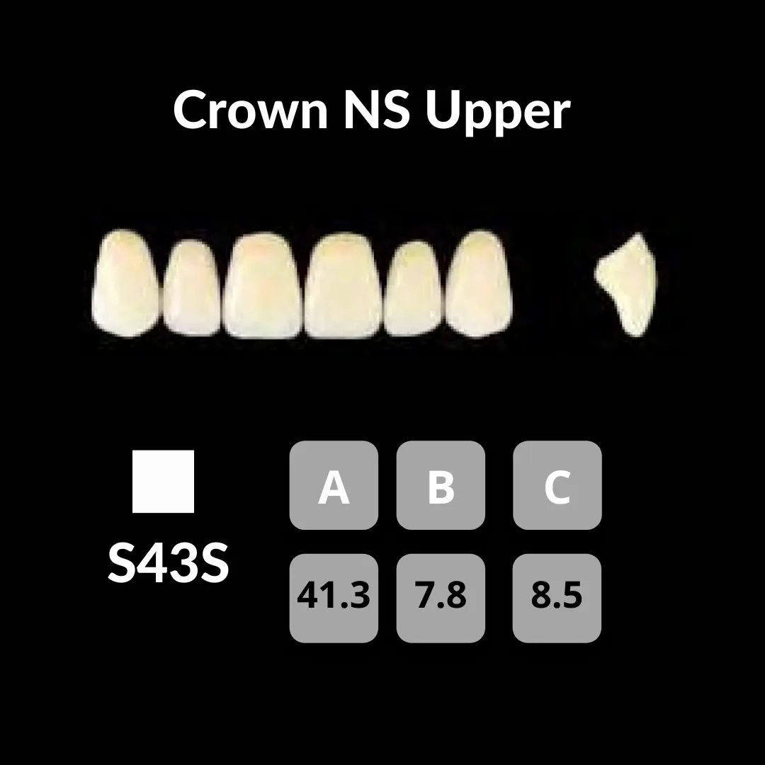 Yamahachi - Crown NS Teeth Shade C1