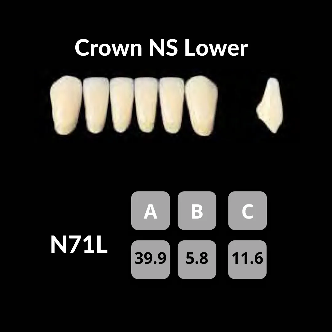 Yamahachi - Crown NS Teeth Shade C1