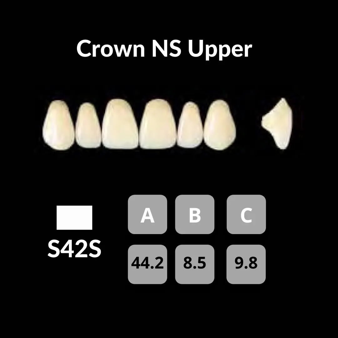 Yamahachi - Crown NS Teeth Shade C1