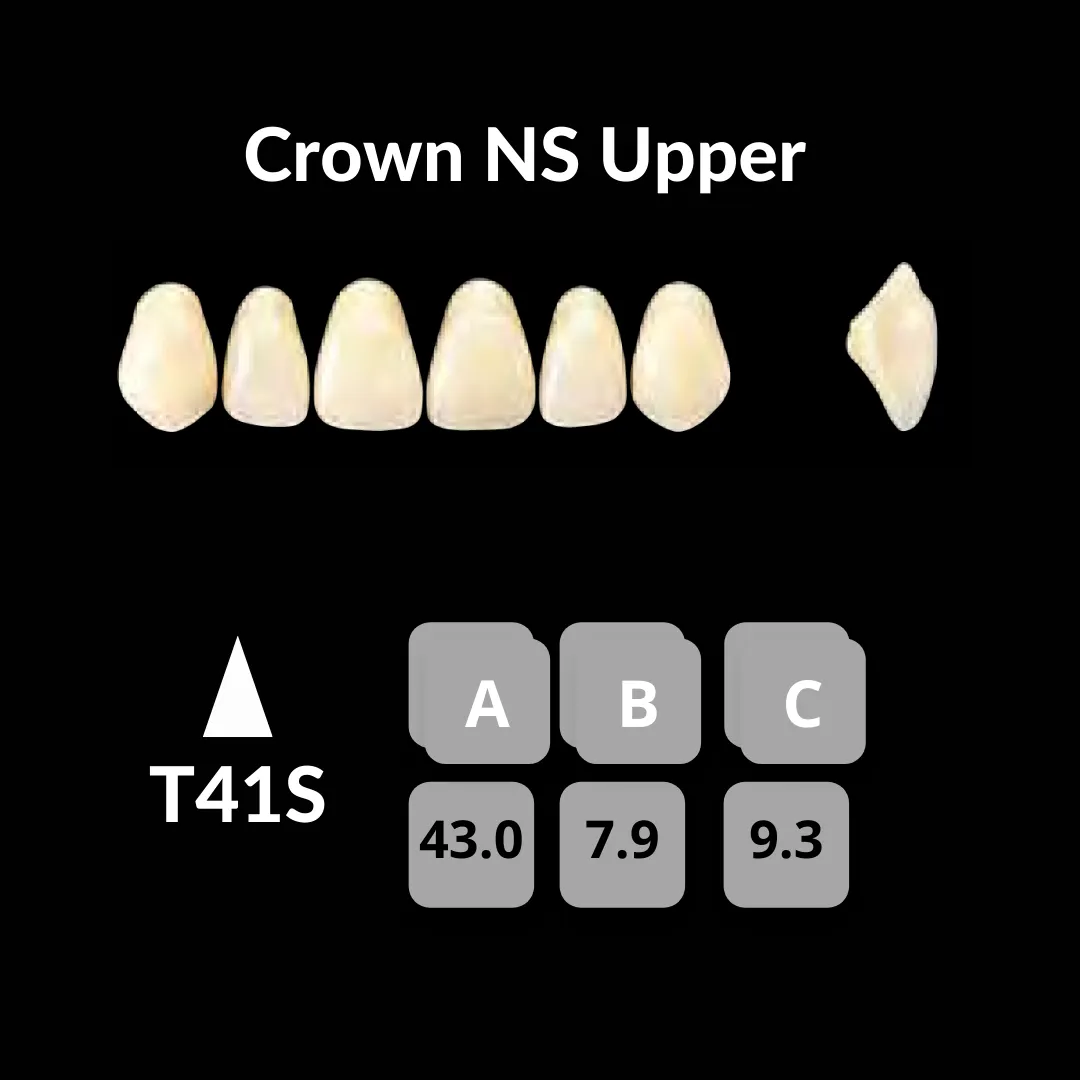 Yamahachi - Crown NS Teeth Shade C1